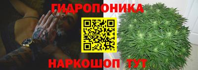 прущая мука Кингисепп