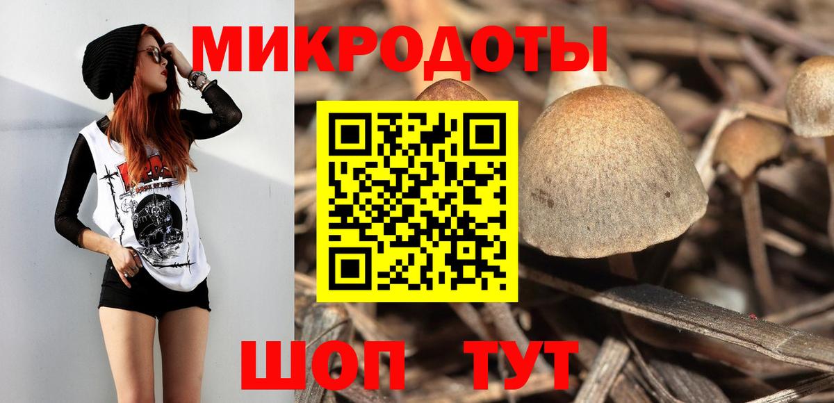Галлюциногенные грибы прущие грибы  Вход с VPN  Галлюциногенные грибы прущие грибы  Красный Сулин 